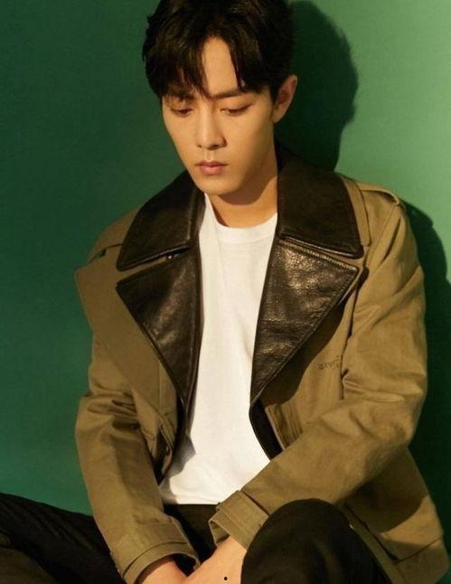 娱乐圈吃瓜爆料肖战视频,娱乐圈幕后真相大曝光